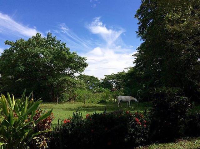 Blue Zone Retreat Villa Nicoya Exterior photo